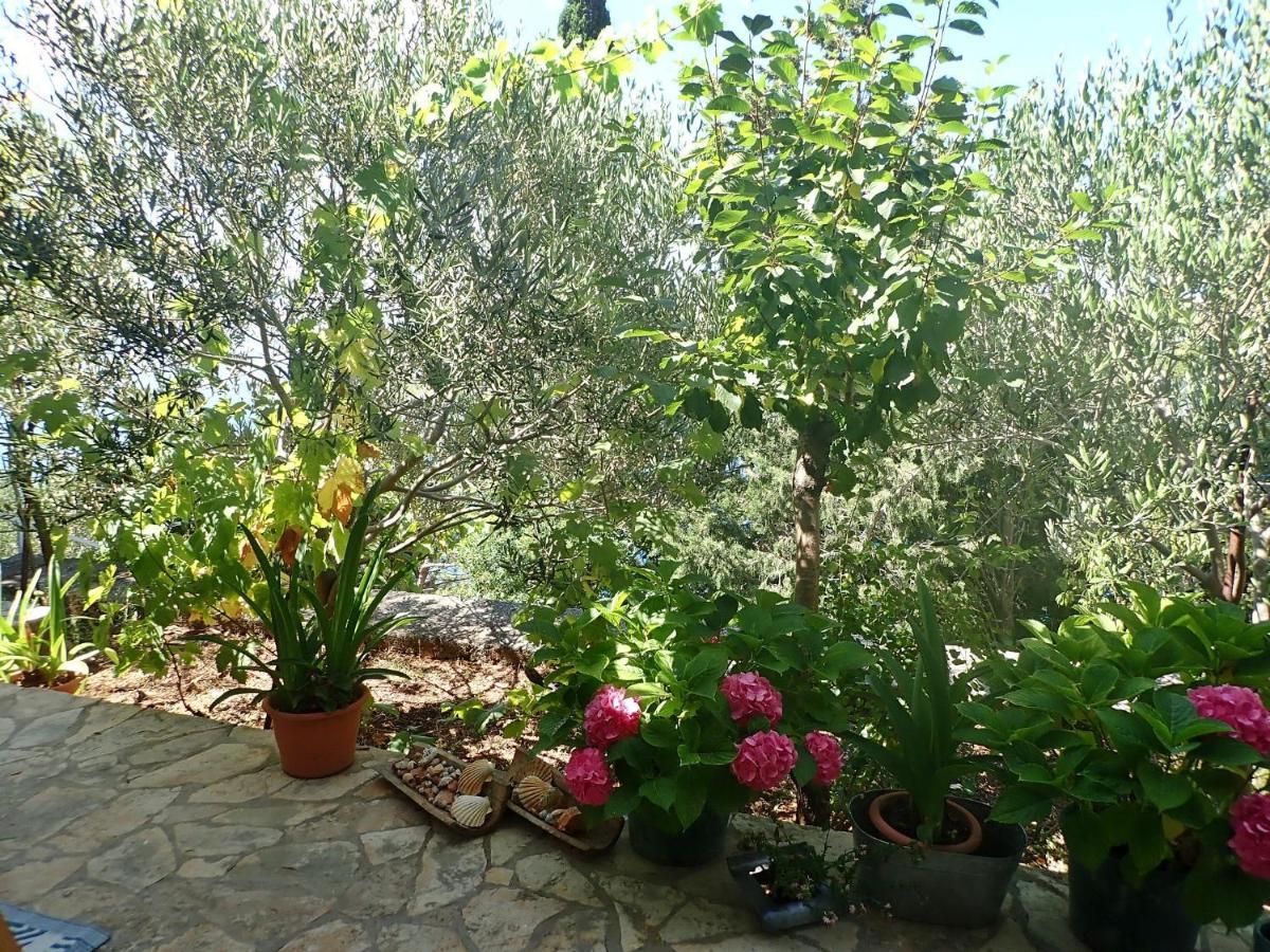 Studio Mare -30 M From A Lonely Beach Barić Draga 외부 사진
